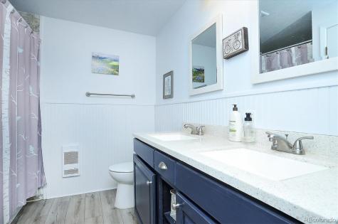 15745 Birdie Lane Buena Vista CO 81211