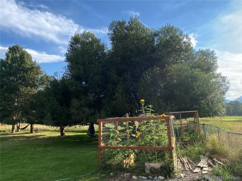 15745 Birdie Lane Buena Vista CO 81211
