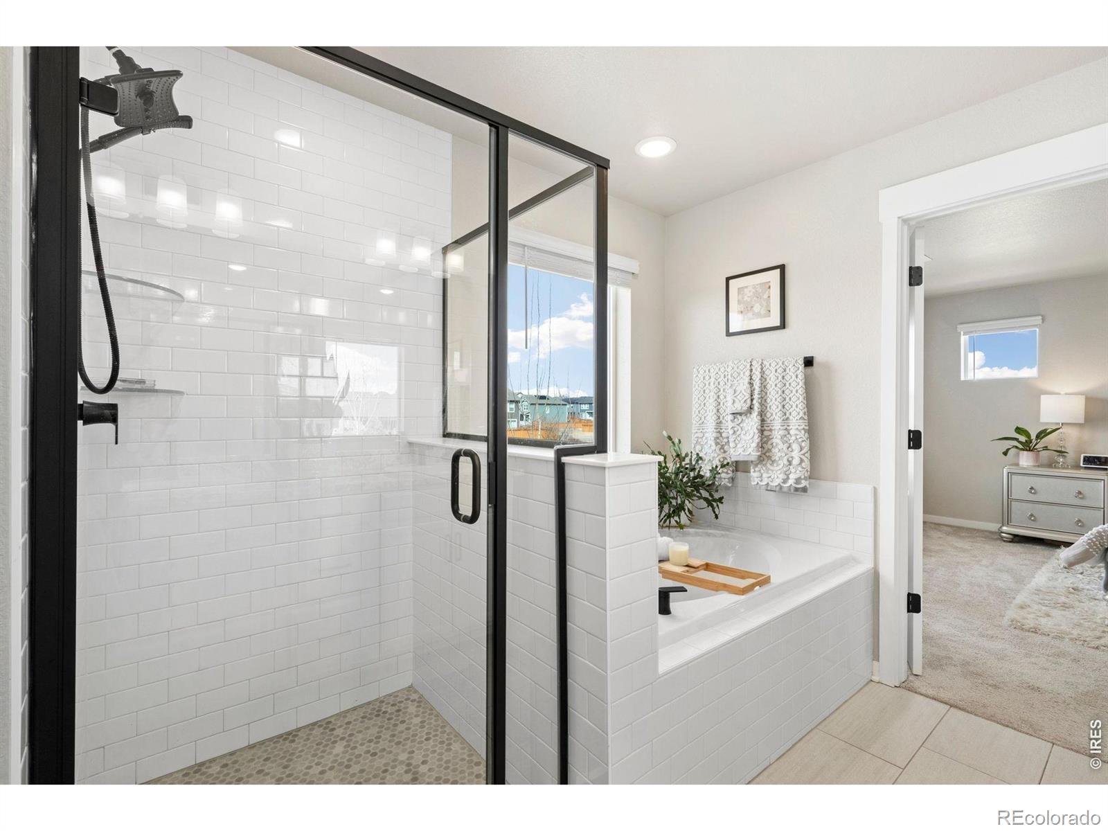 4433 Haymill Court Timnath CO 80547