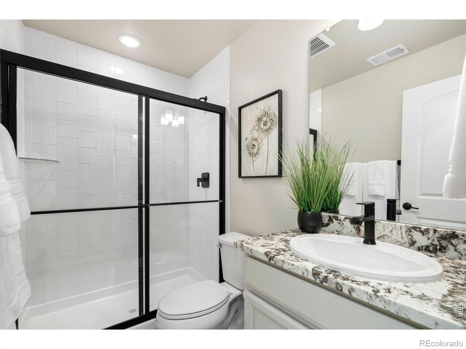 4433 Haymill Court Timnath CO 80547