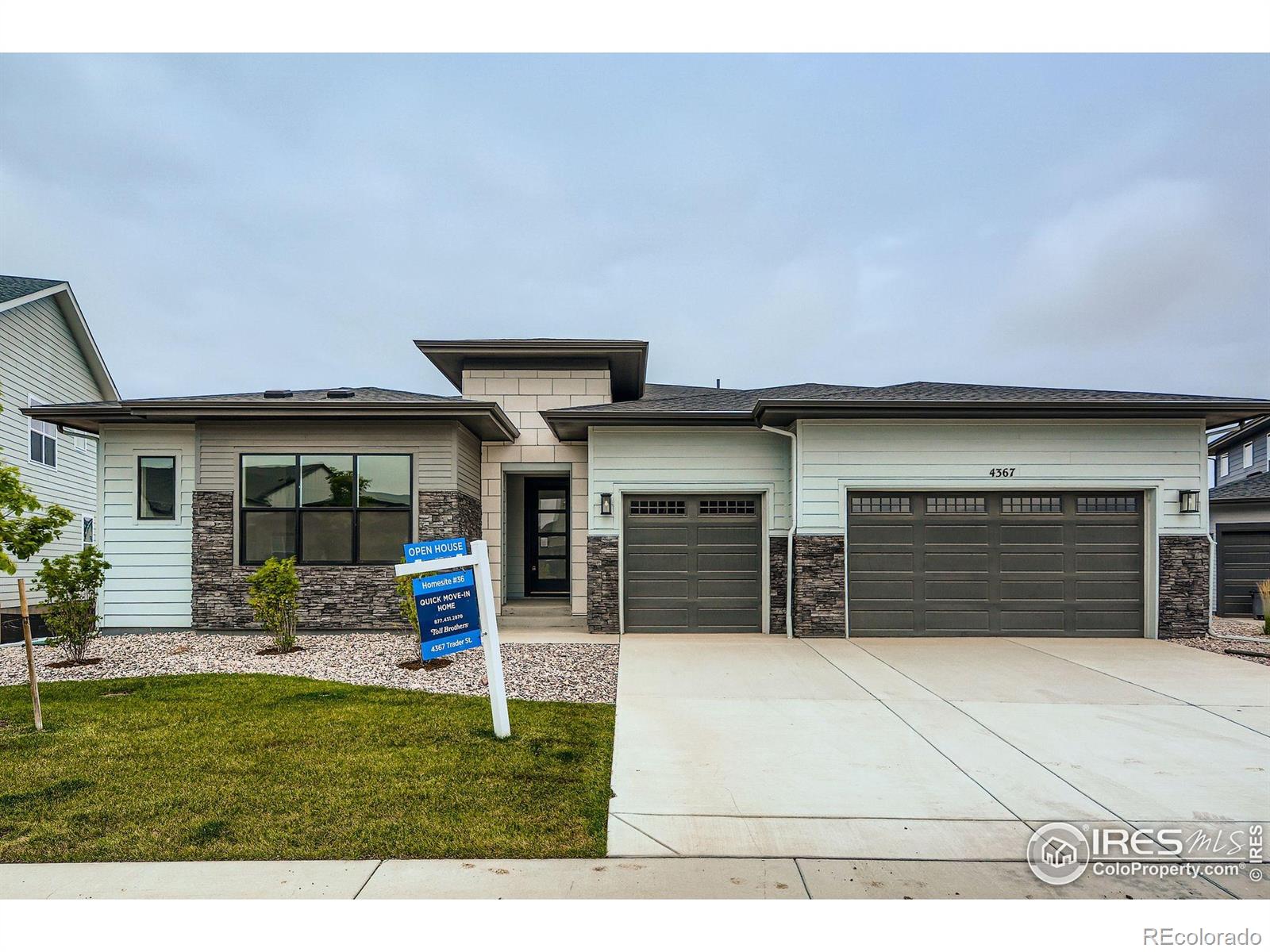 4367 Trader Street Timnath CO 80547