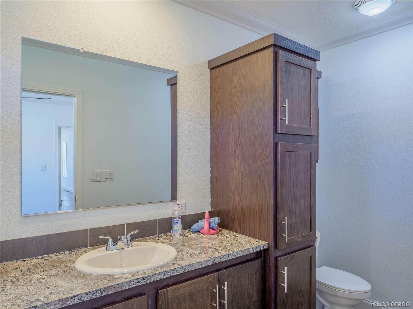 27436 County Road 313 Buena Vista CO 81211