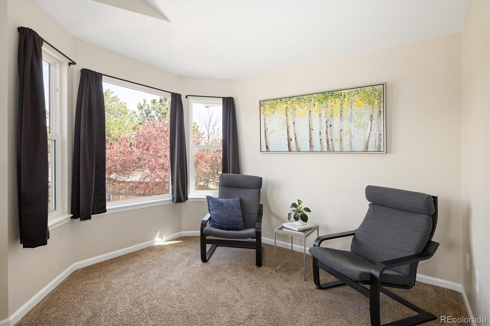 10580 Wintersweet Court Parker CO 80134