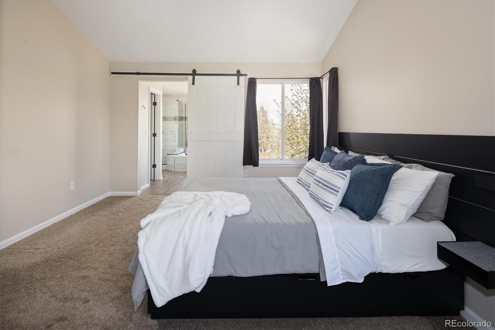 10580 Wintersweet Court Parker CO 80134