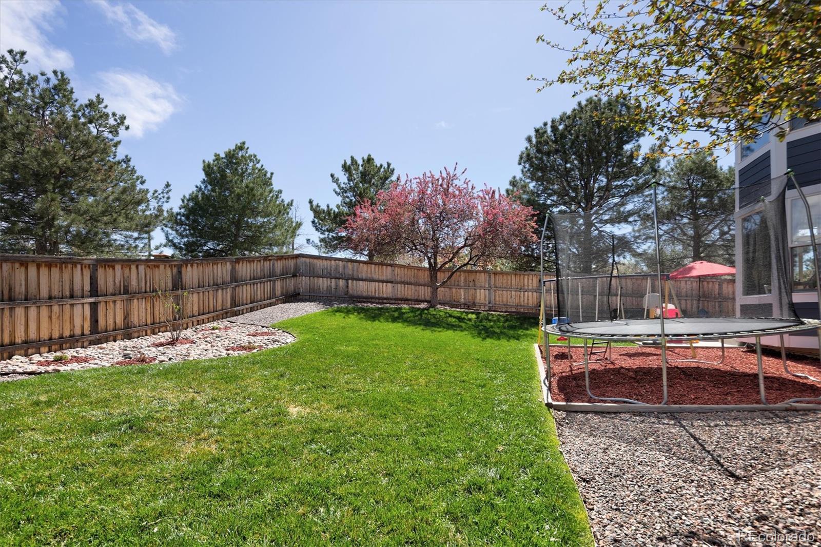 10580 Wintersweet Court Parker CO 80134