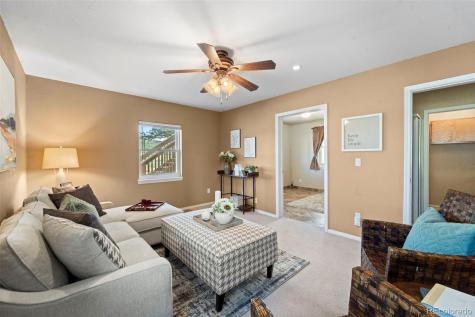 671 Midland Court Lake George CO 80827