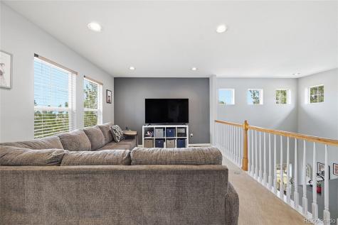 10559 Jewelberry Trail Highlands Ranch CO 80130