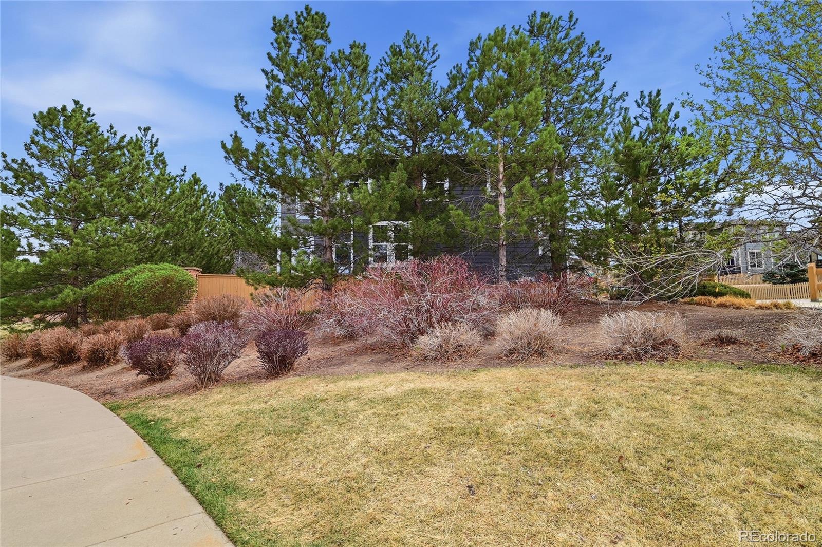 10559 Jewelberry Trail Highlands Ranch CO 80130