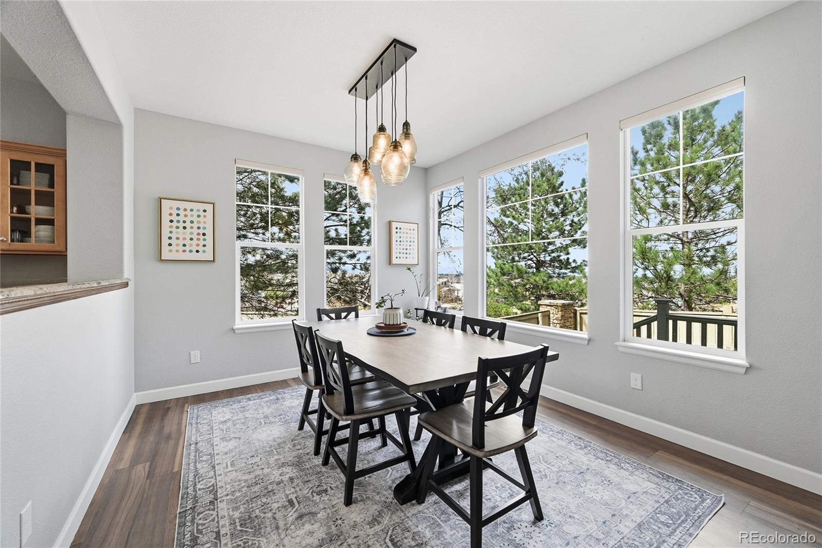10559 Jewelberry Trail Highlands Ranch CO 80130