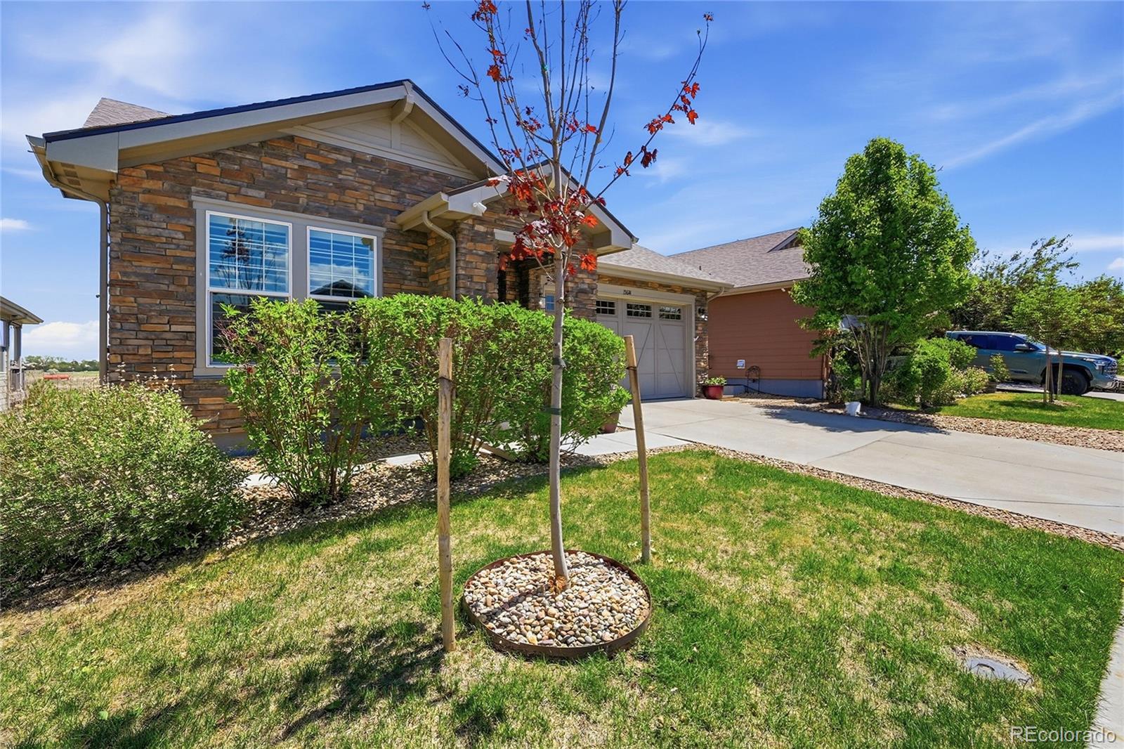 15674 Elizabeth Street Thornton CO 80602