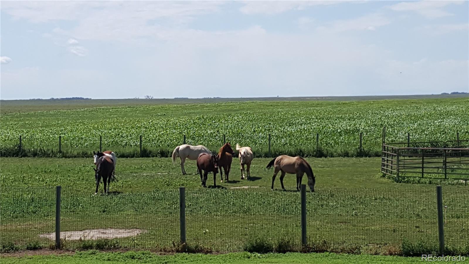 50416 County Road 22 Ramah CO 80832