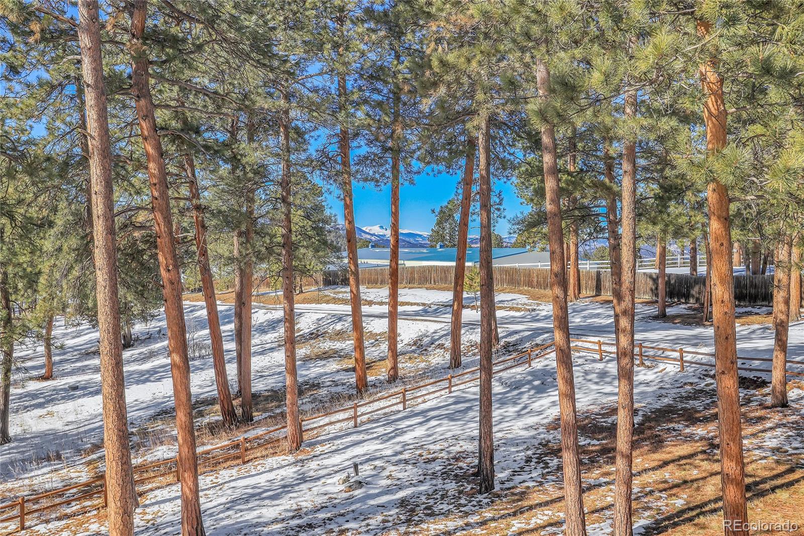 23148 Pawnee Road Indian Hills CO 80454