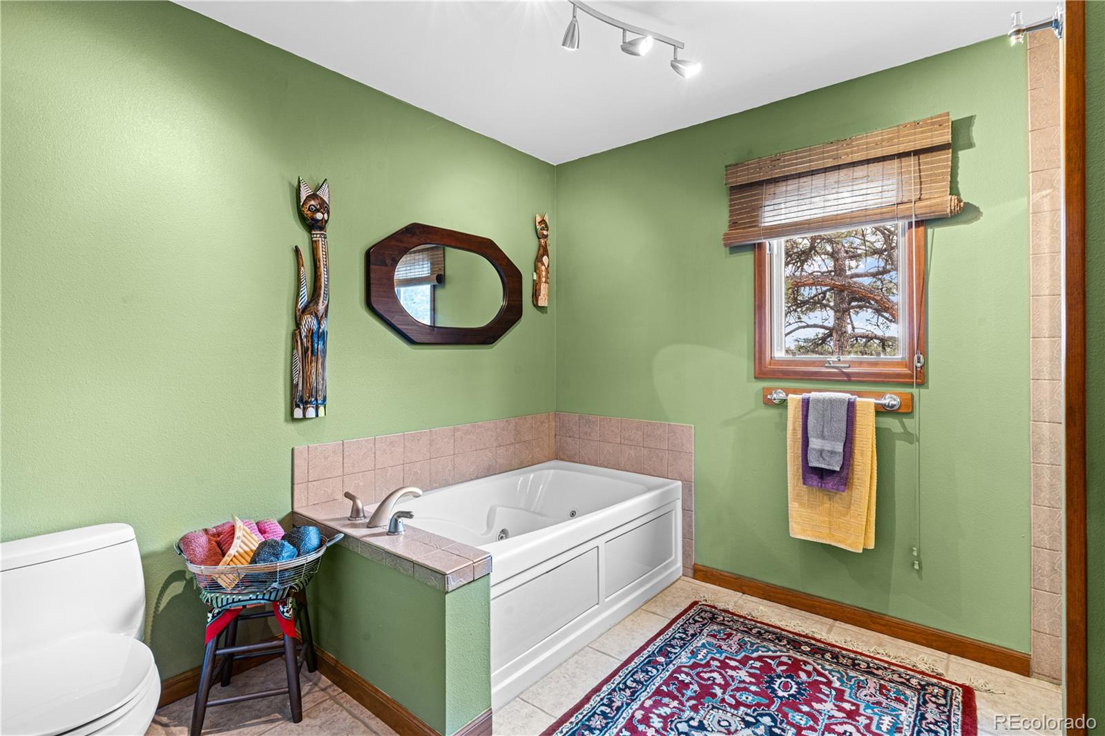 1301 Pheasant Loop Westcliffe CO 81252