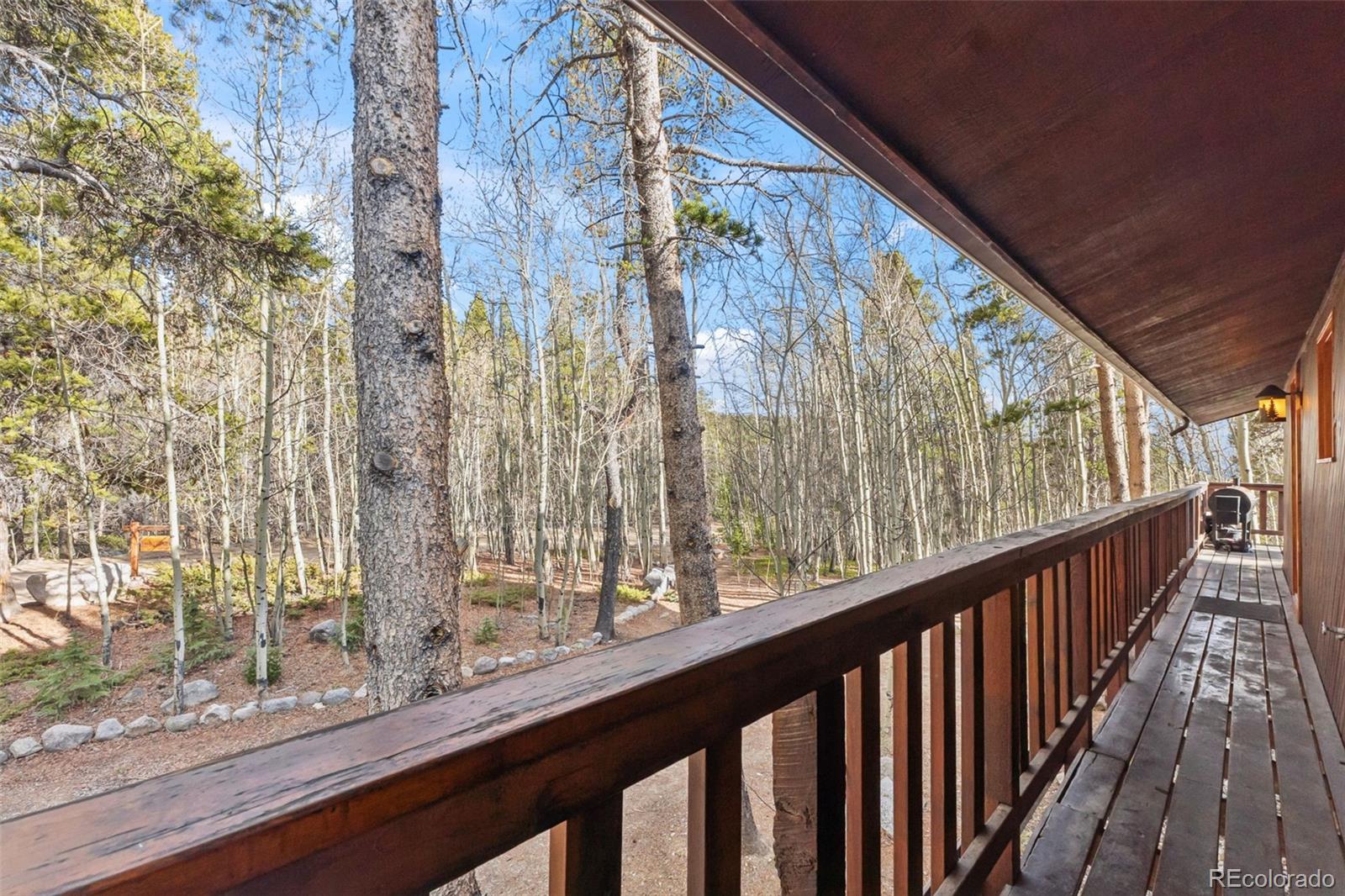 2443 Empire Valley Drive Leadville CO 80461