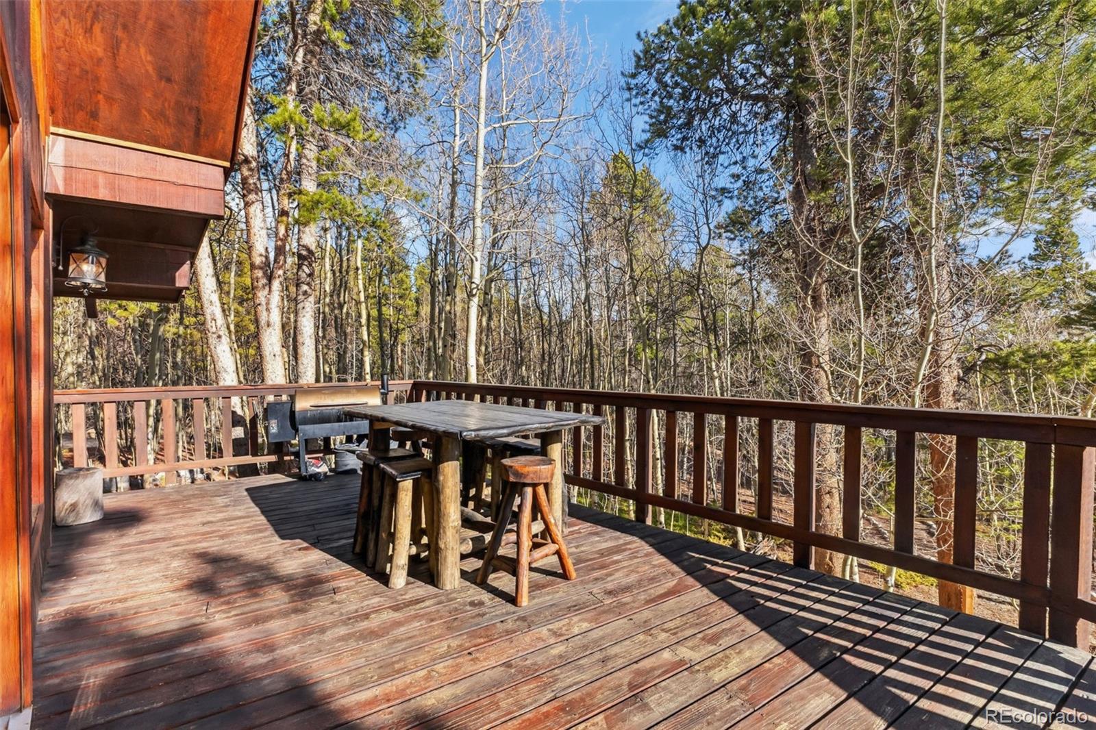 2443 Empire Valley Drive Leadville CO 80461