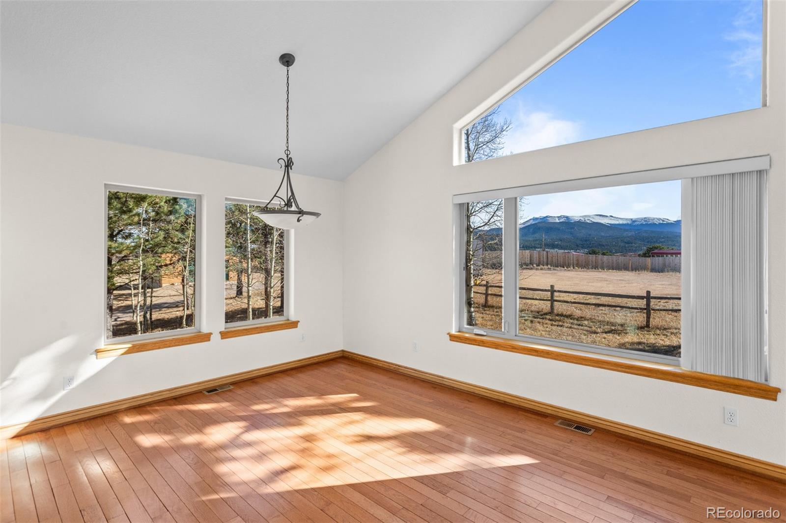 162 Ridge Top Drive Divide CO 80814
