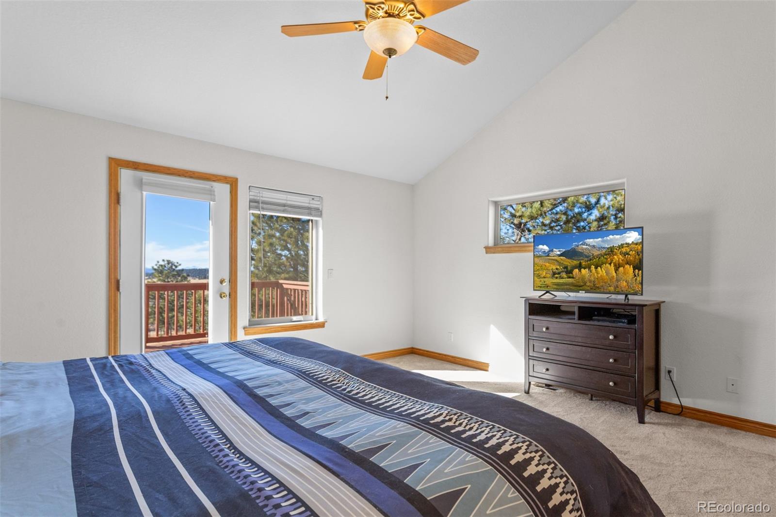 162 Ridge Top Drive Divide CO 80814