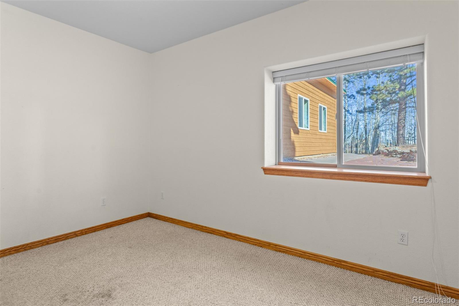 162 Ridge Top Drive Divide CO 80814