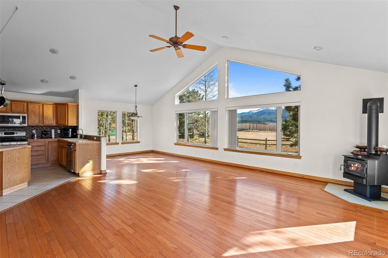 162 Ridge Top Drive Divide CO 80814