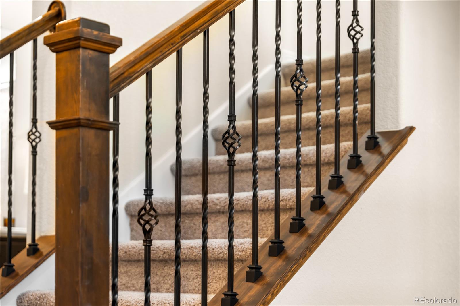 15165 Yellowthroat Street Parker CO 80134