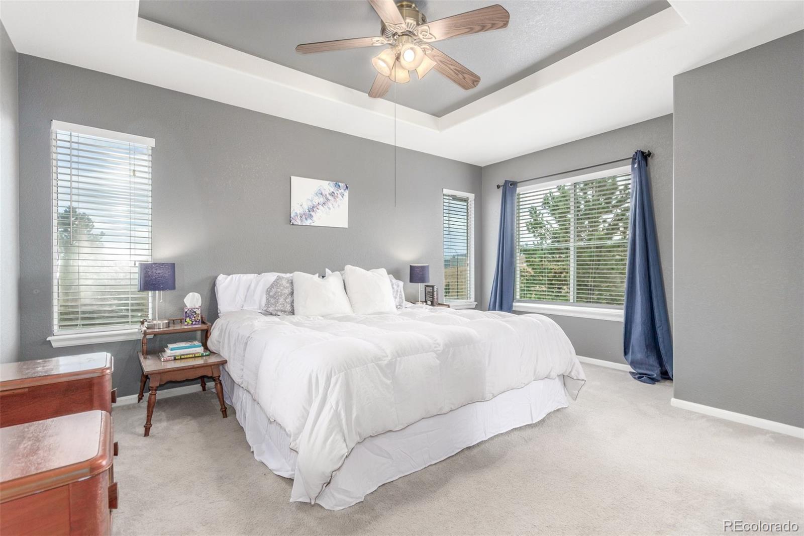 10660 Jewelberry Circle Highlands Ranch CO 80130