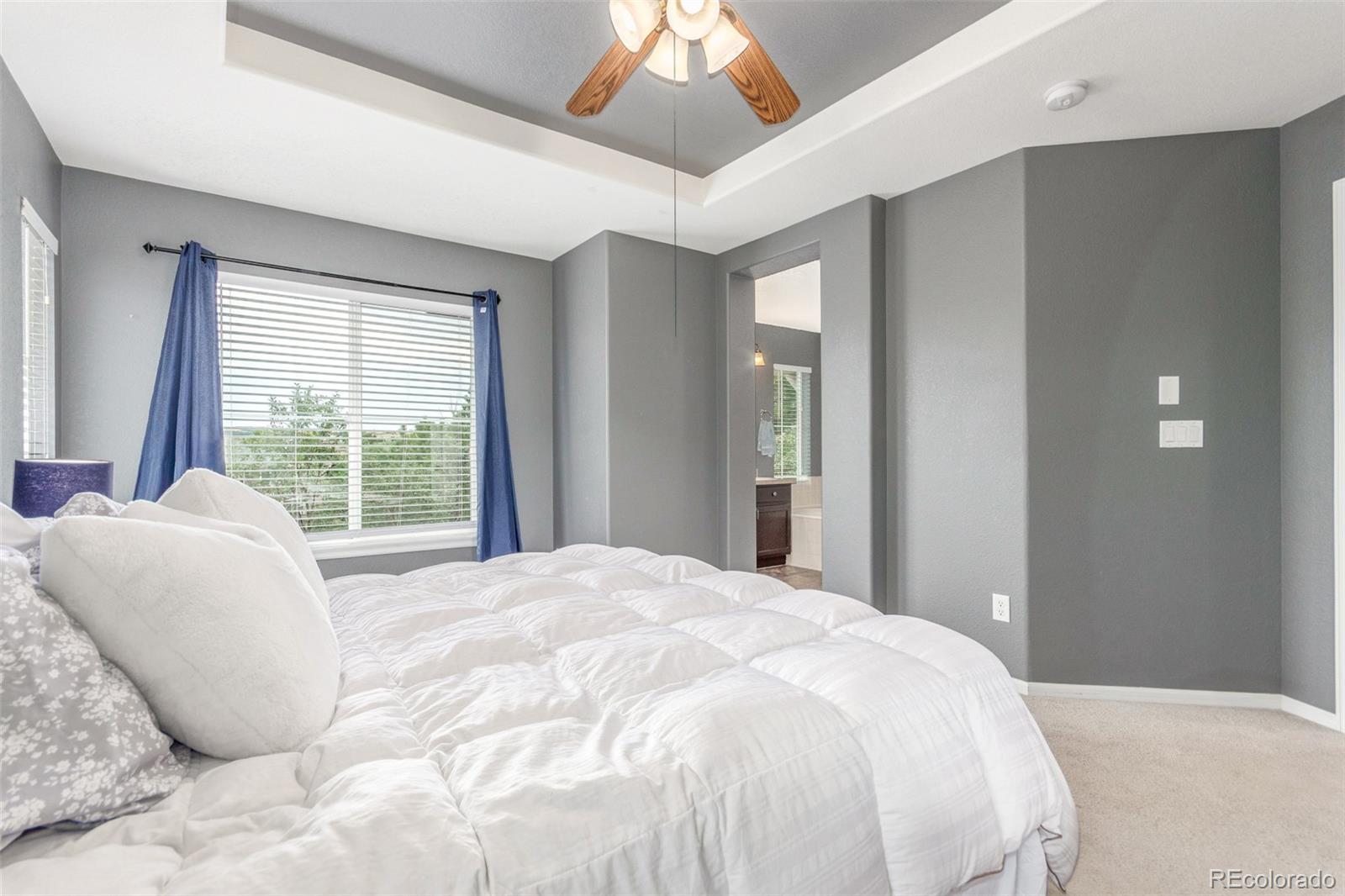 10660 Jewelberry Circle Highlands Ranch CO 80130