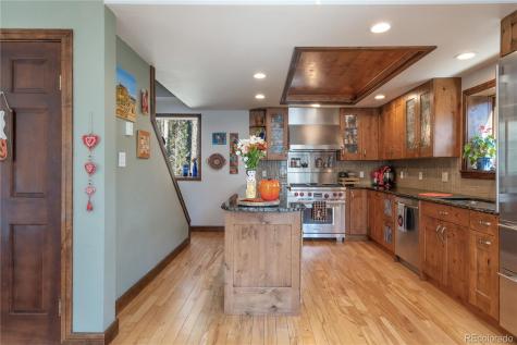 495 Edgewood Road Alma CO 80420