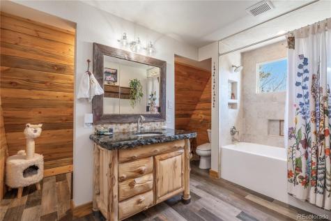 495 Edgewood Road Alma CO 80420