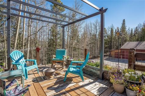 495 Edgewood Road Alma CO 80420