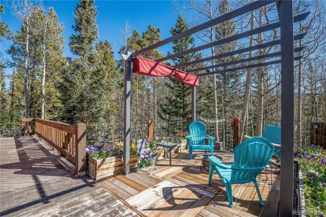 495 Edgewood Road Alma CO 80420