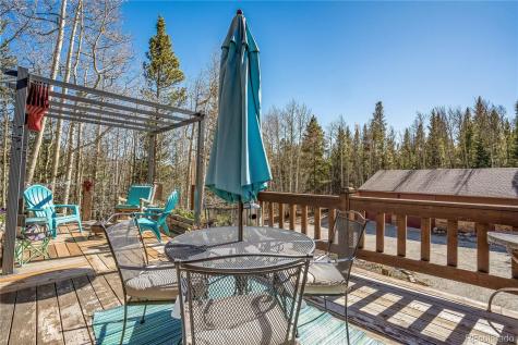 495 Edgewood Road Alma CO 80420