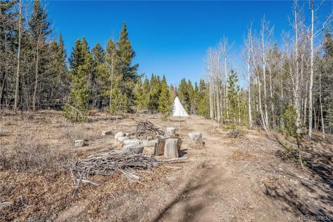 495 Edgewood Road Alma CO 80420