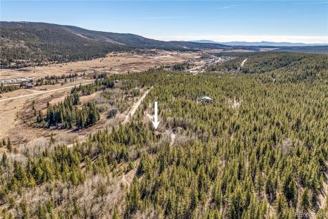 495 Edgewood Road Alma CO 80420