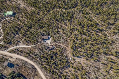 495 Edgewood Road Alma CO 80420