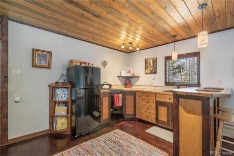 495 Edgewood Road Alma CO 80420