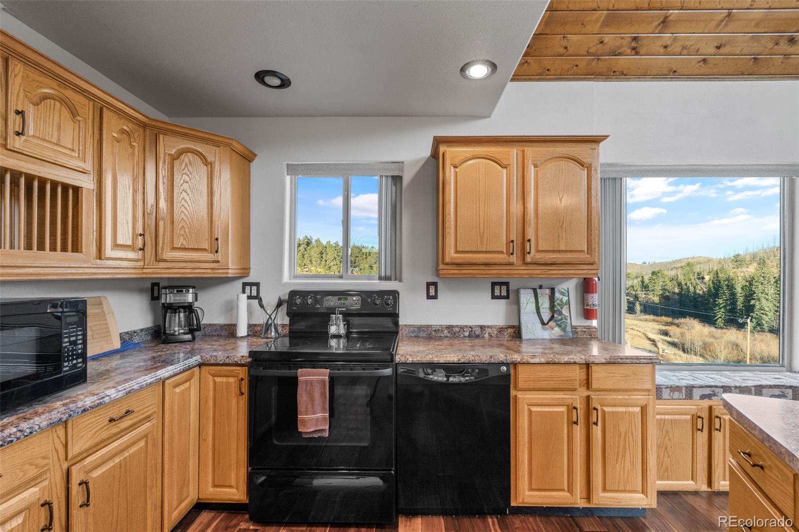 3631 Cr 33 Drive Florissant CO 80816