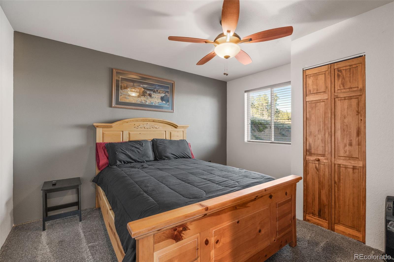 3631 Cr 33 Drive Florissant CO 80816