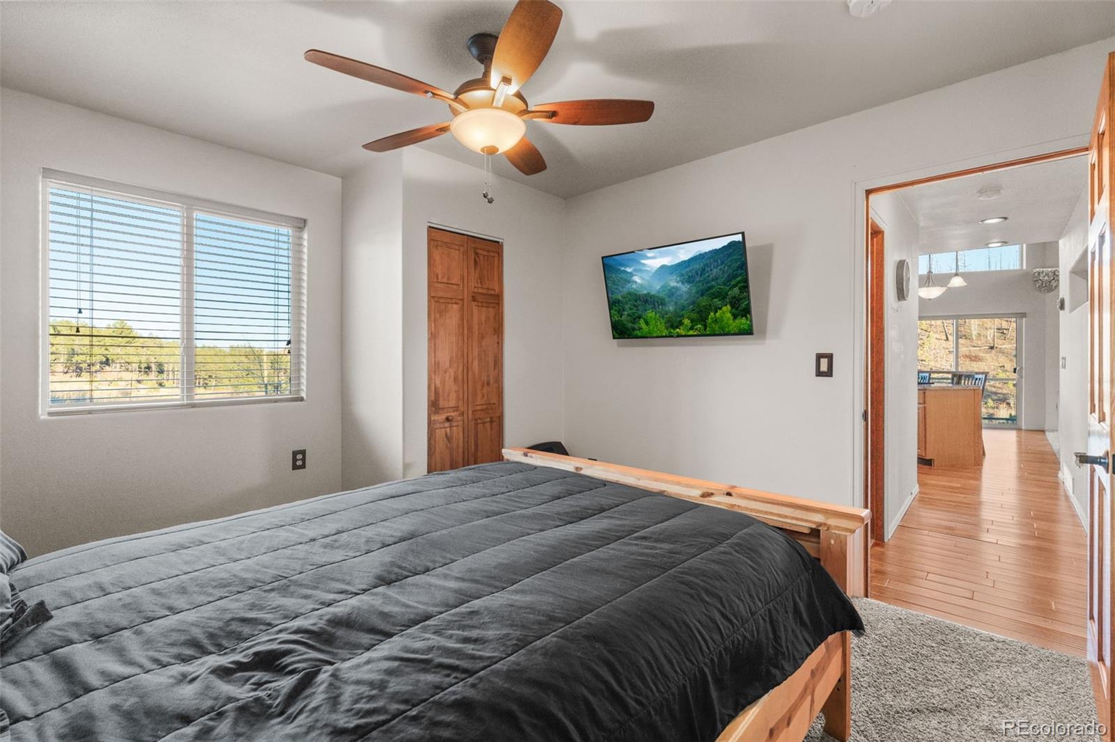 3631 Cr 33 Drive Florissant CO 80816