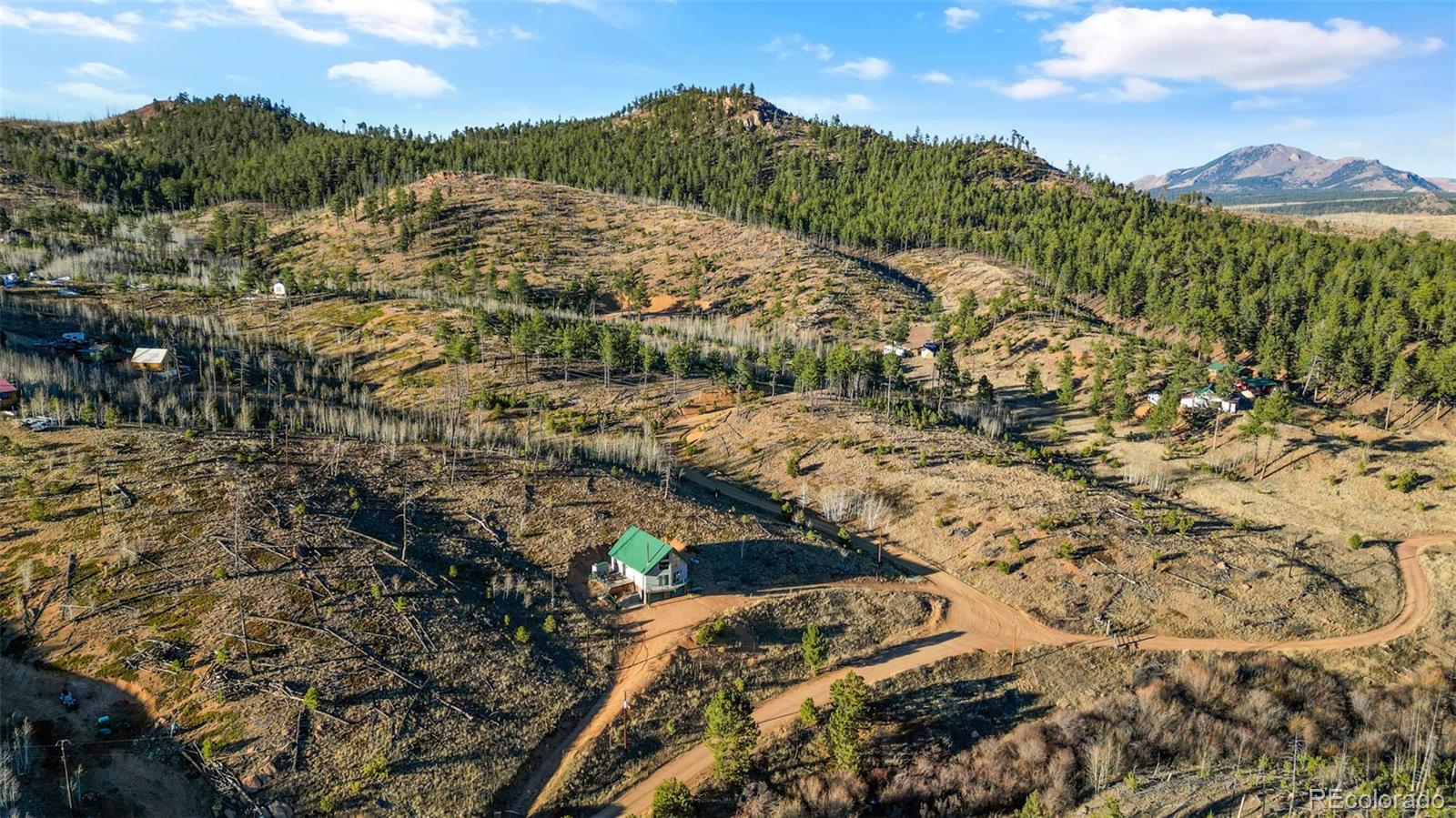 3631 Cr 33 Drive Florissant CO 80816