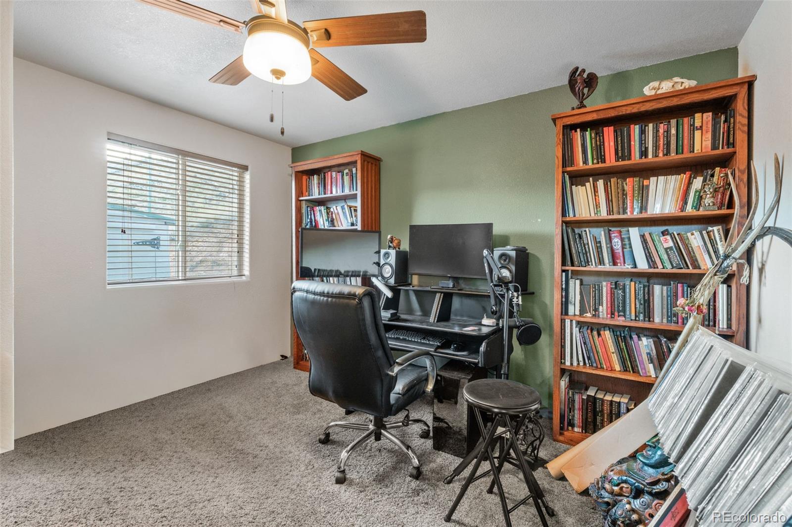 3631 Cr 33 Drive Florissant CO 80816