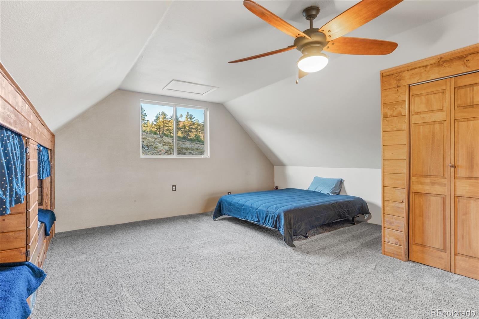 3631 Cr 33 Drive Florissant CO 80816