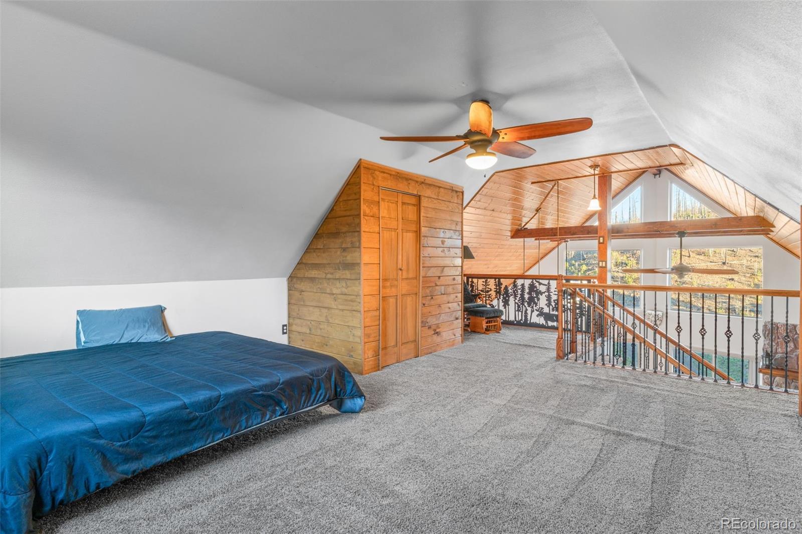 3631 Cr 33 Drive Florissant CO 80816