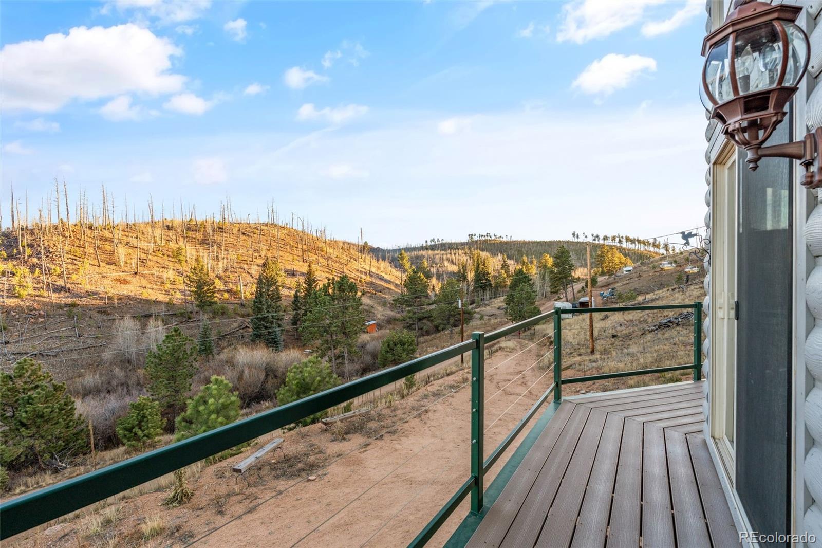 3631 Cr 33 Drive Florissant CO 80816
