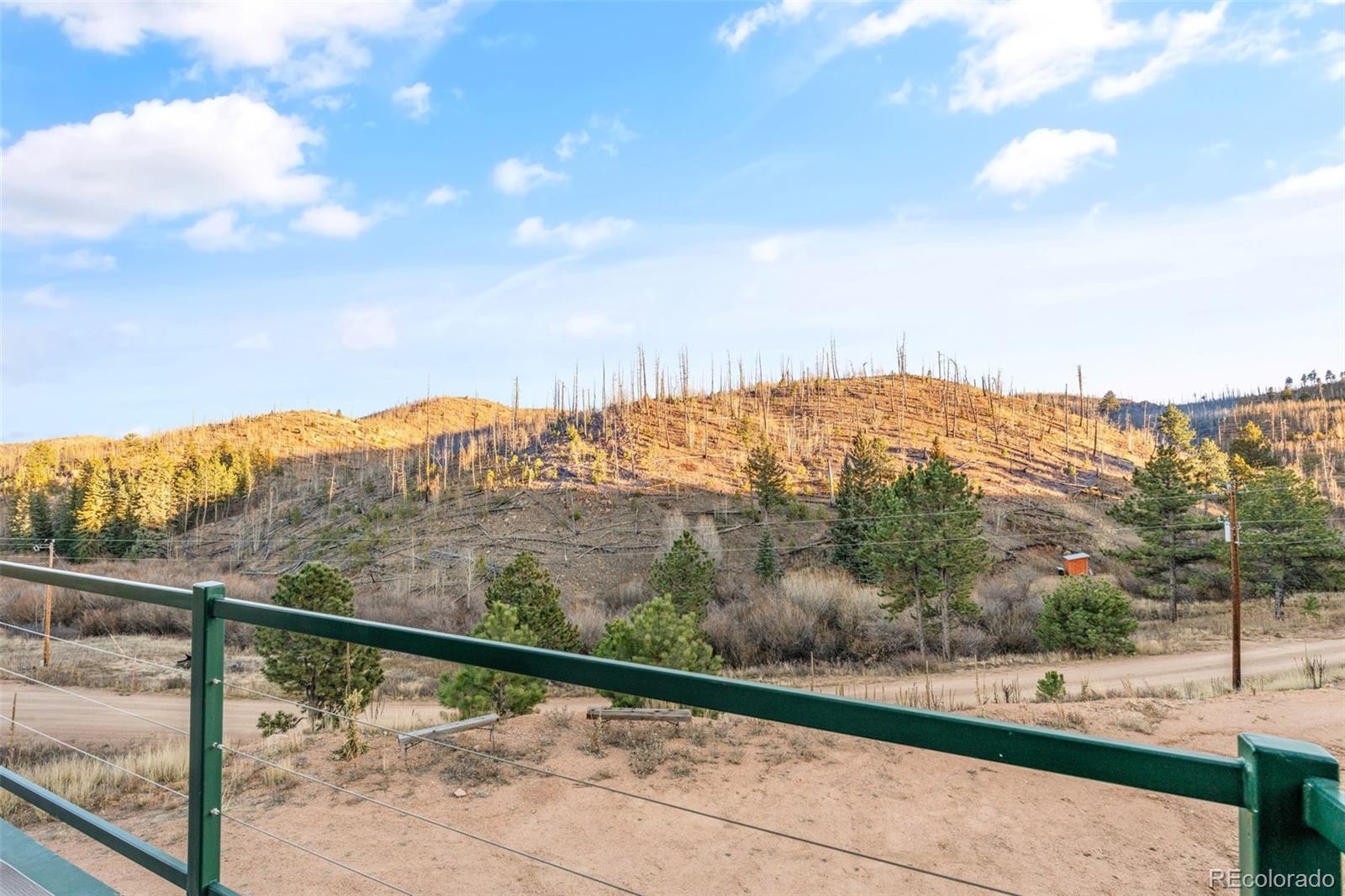 3631 Cr 33 Drive Florissant CO 80816