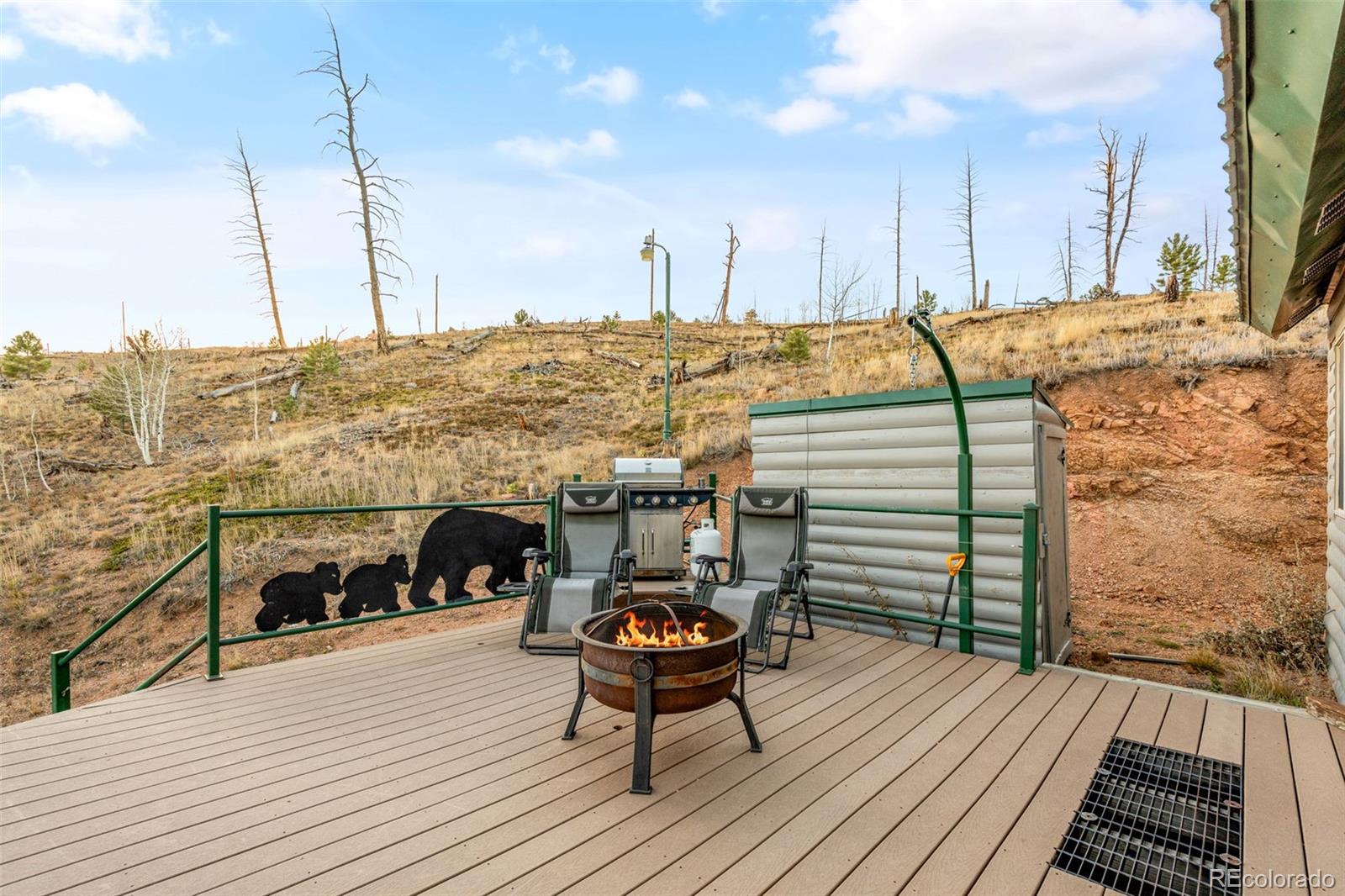 3631 Cr 33 Drive Florissant CO 80816