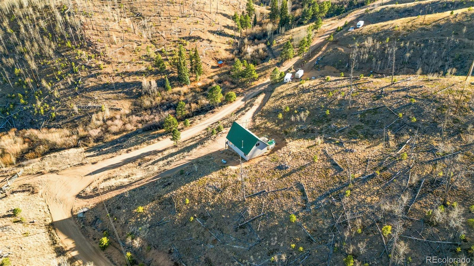 3631 Cr 33 Drive Florissant CO 80816