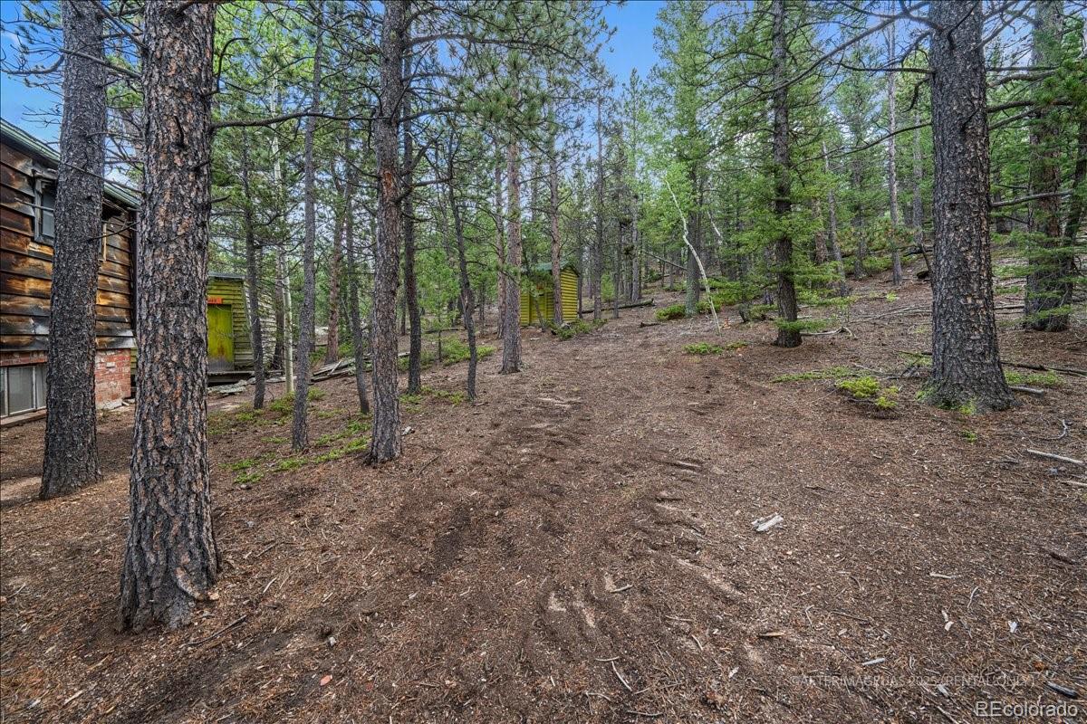 177 Sutherland Road Allenspark CO 80510