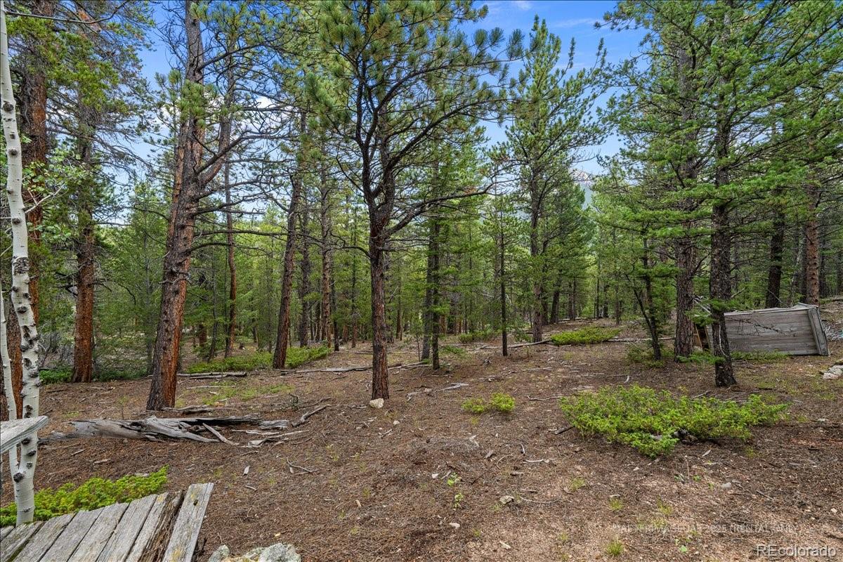177 Sutherland Road Allenspark CO 80510