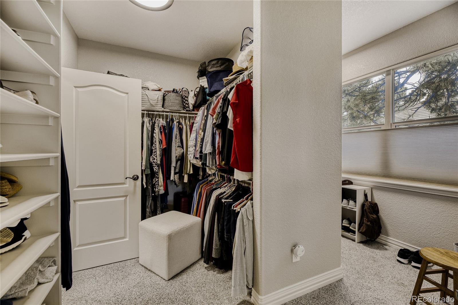 5213 Pinyon Jay Road Parker CO 80134