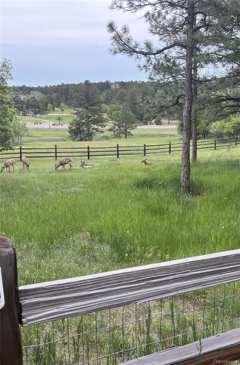 5213 Pinyon Jay Road Parker CO 80134
